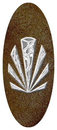 Silver Sunburst Shimmer Brown